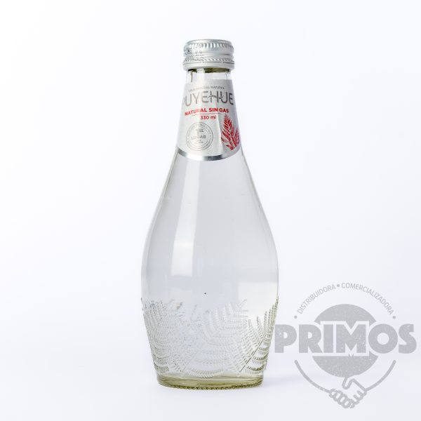 12 x AGUA PUYEHUE sin gas 300cc.