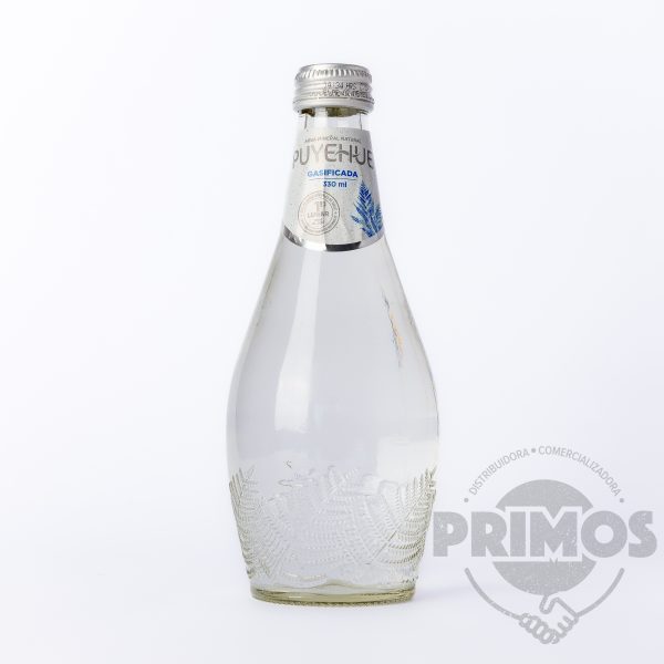 12 x AGUA PUYEHUE con gas 300cc.