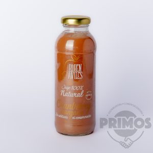 12 x JUGO RUBEN AVILES CRANBERRY-MANZANA 300 cc